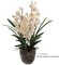 15" White Silk Cymbidium Orchid Stem - Elegant & Lifelike Floral Decor for Any Space